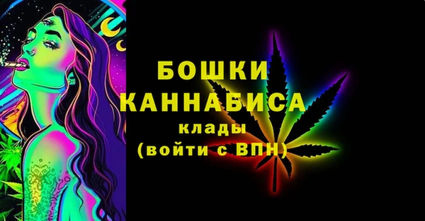 шишки Майский