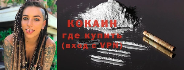 шишки Майский