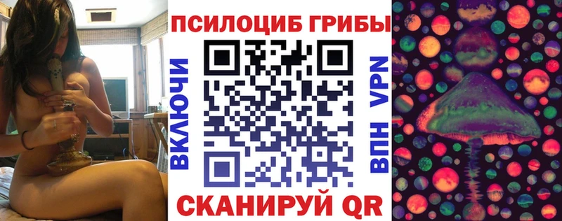где можно купить   Тбилисская  Галлюциногенные грибы мицелий 
